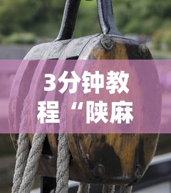 3分钟教程“陕麻圈捉老麻子开挂神器”真的有挂