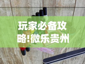 玩家必备攻略!微乐贵州麻将开挂神器?_游戏_玩家_工具
