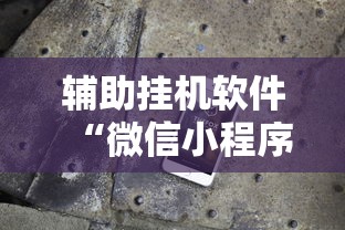 辅助挂机软件“微信小程序开挂辅助器”可以开挂作弊