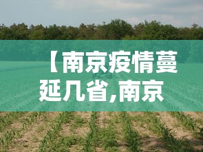 强力推荐“打红中麻将老是输钱要怎样才能赢”附开挂脚本详细步骤