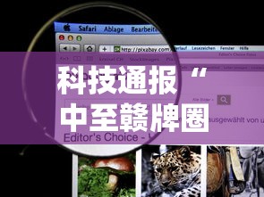 科技通报“中至赣牌圈开挂视频!详细开挂教程 科技通报“中至赣牌圈开挂视频!详细开挂教程