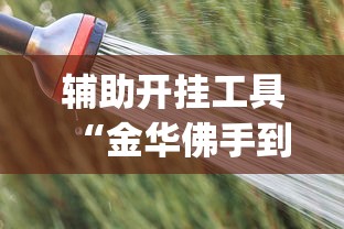 辅助开挂工具“金华佛手到底有没有挂”(曝光透视必备猫腻)