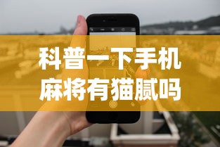科普一下手机麻将有猫腻吗”开挂(透视)辅助教程