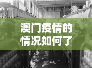 玩家最新攻略“乐山幺鸡麻将打法技巧”真的有挂