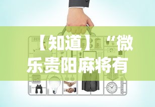 【知道】“微乐贵阳麻将有没有挂”(必备工具)辅助教学
