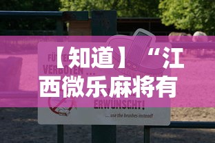 【知道】“江西微乐麻将有挂吗”真实开挂技巧分享