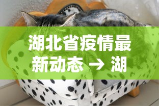 今日重磅消息“微乐内蒙麻将怎么开挂”(确实真的有挂)