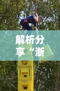 解析分享“浙江宝宝游戏有没有挂”-必赢神器安装