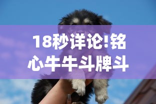 18秒详论!铭心牛牛斗牌斗牛中心究竟有挂”开挂(透视)辅助教程