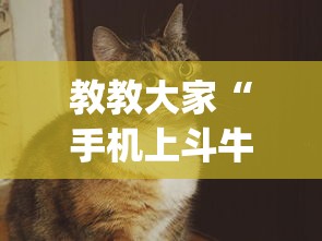 教教大家“手机上斗牛怎么才可以开挂!专业师傅带你一起了解(确实有挂)