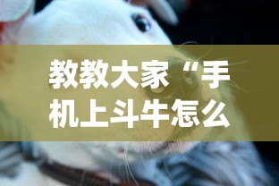 教教大家“手机上斗牛怎么才可以开挂!专业师傅带你一起了解(确实有挂)