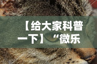 【给大家科普一下】“微乐辽宁麻将能不能开挂	”开挂科技辅助神器手机