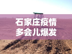 [教程经验]“微乐陕西麻将怎么提高胜率”附开挂脚本详细步骤