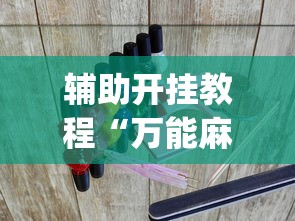 辅助开挂教程“万能麻将游戏开挂器		”(透视挂)详细用法教程