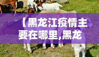 【今日头条】“微乐麻将赢技巧	”辅助挂下载
