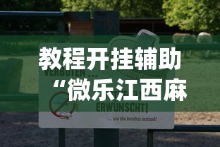 教程开挂辅助“微乐江西麻将怎样开挂	”(透视)开挂详细教程