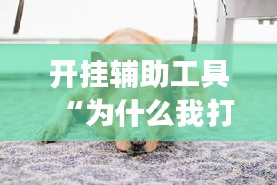 开挂辅助工具“为什么我打微乐总是输”(太坑了果然有挂)
