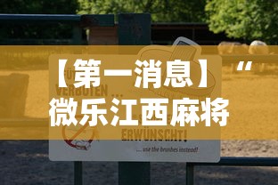 【第一消息】“微乐江西麻将系统有诀窍吗”详细分享装挂步骤教程