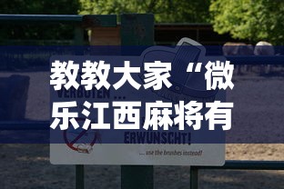 教教大家“微乐江西麻将有挂吗”(曝光透视必备猫腻)