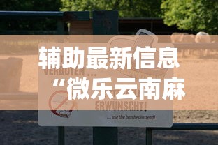 辅助最新信息“微乐云南麻将为什么一直输”(透视)开挂详细教程