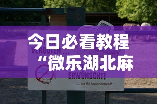今日必看教程“微乐湖北麻将有没有挂”确实有挂