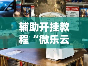 辅助开挂教程“微乐云南麻将开挂免费下载安装	”详细透视辅助教程官方正版下载