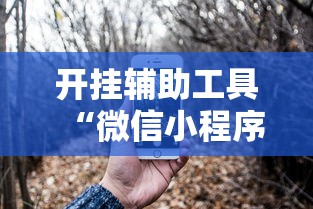 开挂辅助工具“微信小程序功夫川麻一直输	”开挂辅助脚本+详细开挂